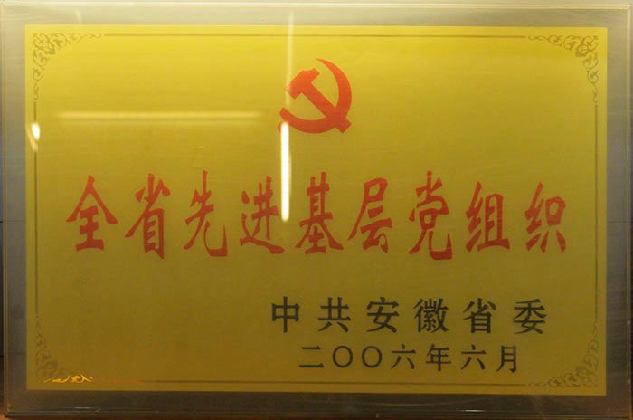 全省先进基层党组织2006